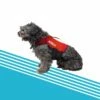 Jobe Pet Vest -ION Sales Store jobe pet vest p1968 10793 image