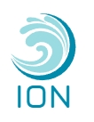 ION Sales Store